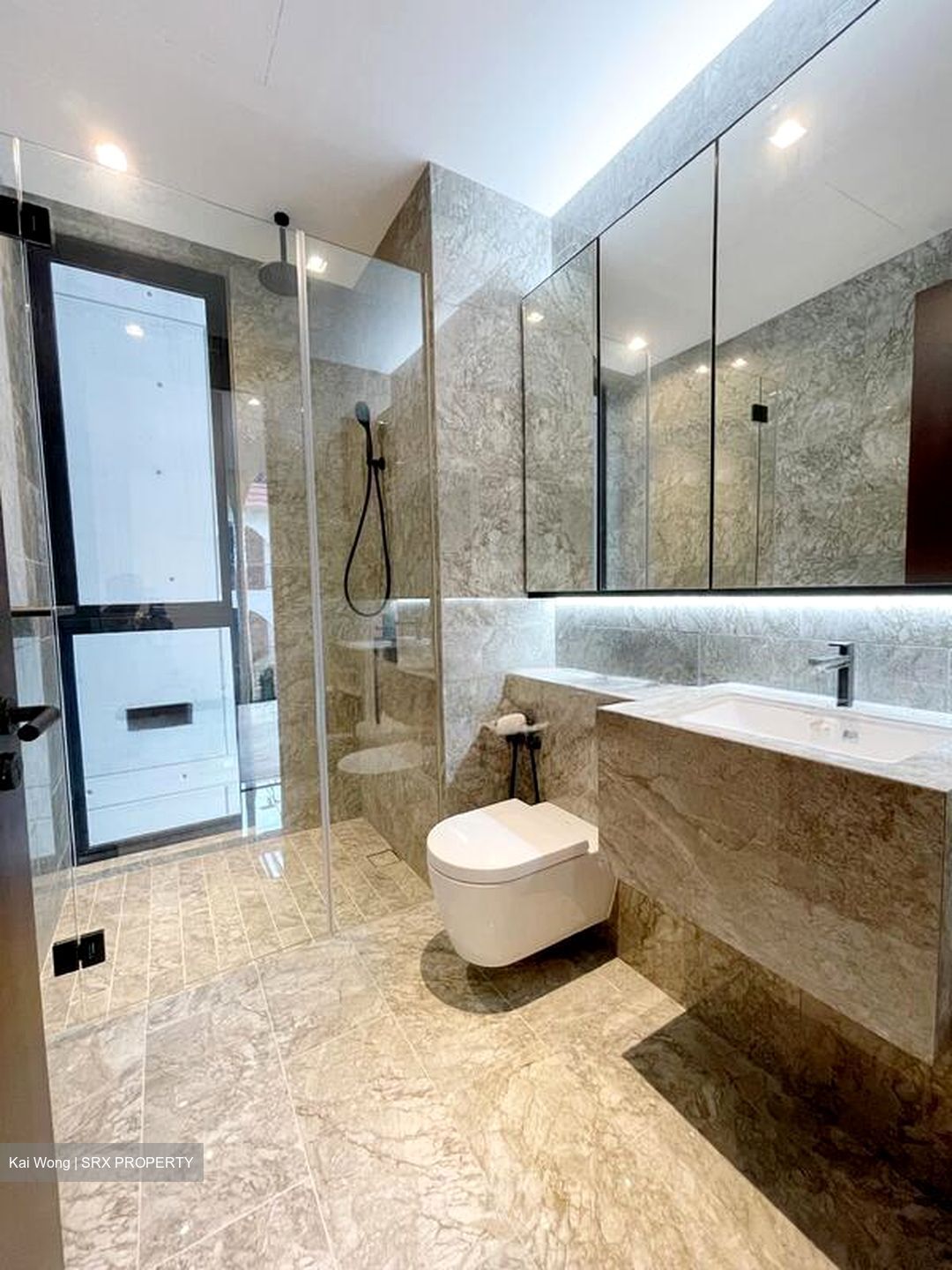Jervois Privé (D10), Apartment #595440481